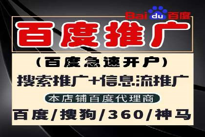 SEM服务公司助力企业竞争案例